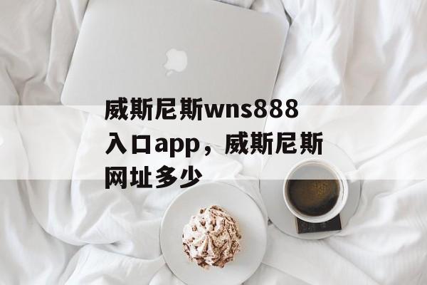 威斯尼斯wns888入口app，威斯尼斯网址多少